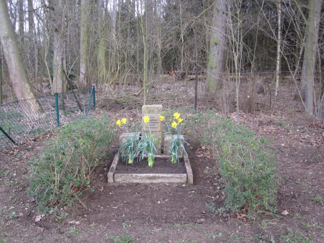 Arbeitseinsatz am 21.03.20