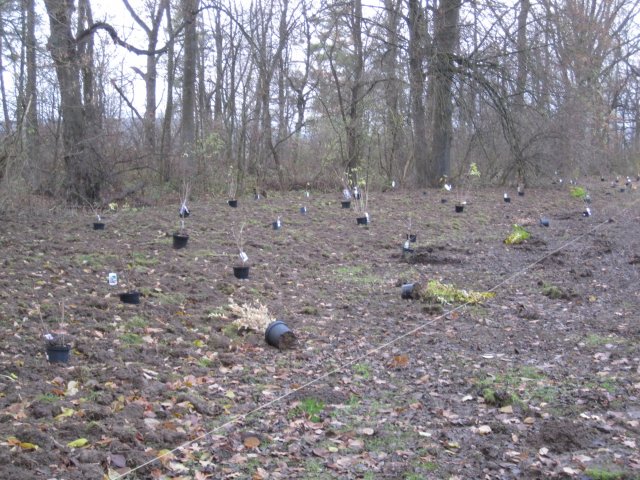 2021 Tennisplatzneubau