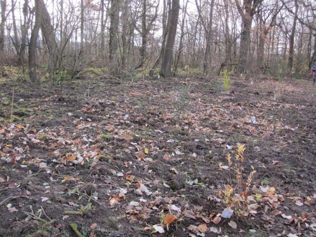 2021 Tennisplatzneubau