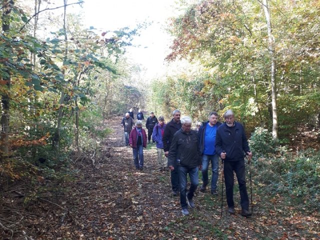 Ringelheimer Wandertag