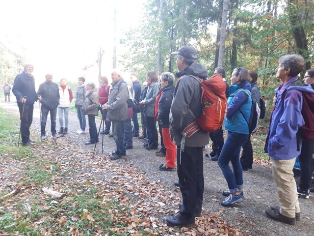 Ringelheimer Wandertag