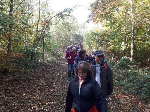 Ringelheimer Wandertag