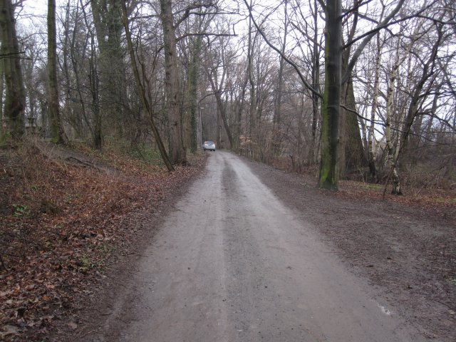 Arbeitseinsatz am 21.03.