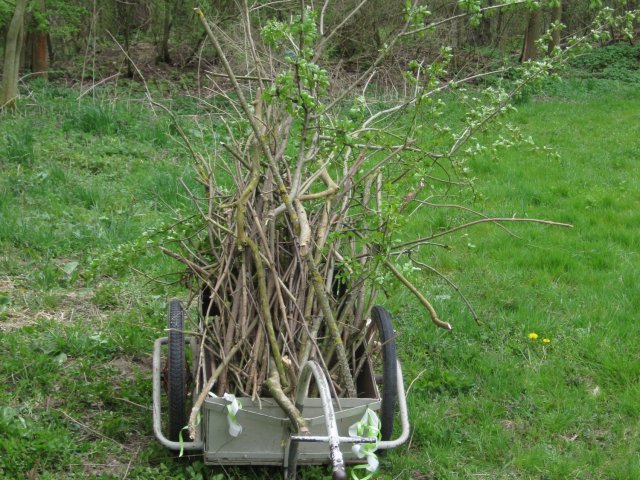 Arbeitseinsatz am 25.04.