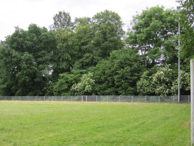 Arbeitseinsatz am 11.06.16