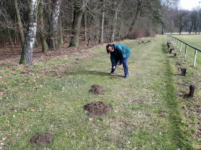 2018 Arbeitseinsatz am 10.03.