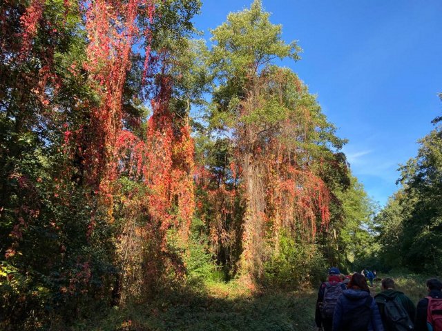 2021 Wanderung am 10.10.